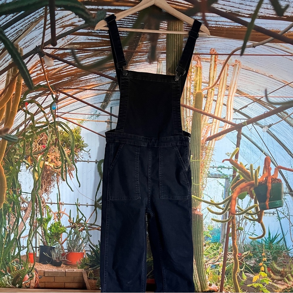 Madewell Skinny Overalls